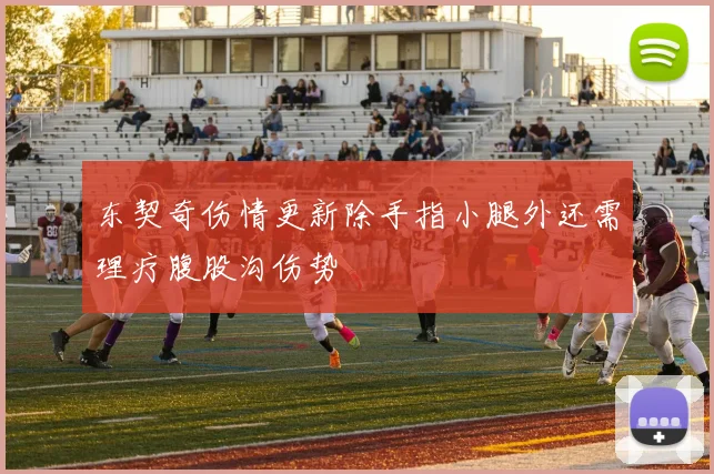 东契奇伤情更新除手指小腿外还需理疗腹股沟伤势